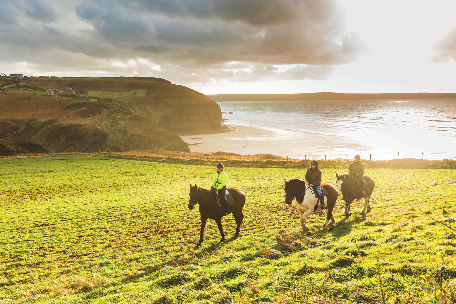 People riding horses in the countryside. Three persons with horses on green fields and with ocean and cliffs on background. Sport, leisure and travel concepts