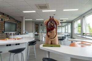 Empty classroom with Anatomical model, gymbal shot