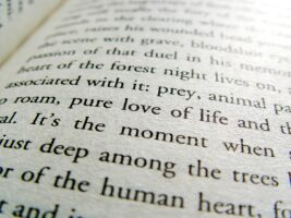 Macro of a page from a book. With the word love in the centre of the photo, and other words slightly out of focus. You can clear see the texture of the paper.