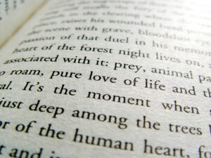 Macro of a page from a book. With the word love in the centre of the photo, and other words slightly out of focus. You can clear see the texture of the paper.