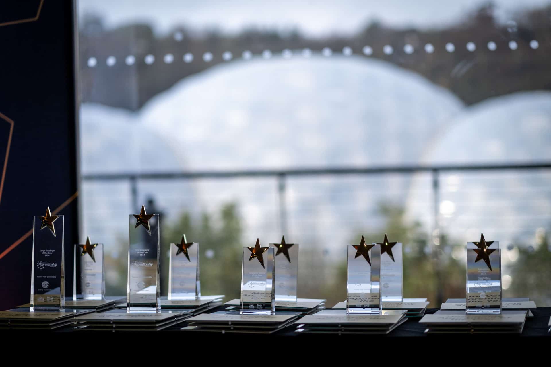 The trophies from the Cornwall Apprenticeship Awards 2024 are lined up in front of a window which shows the Eden Project's biomes.