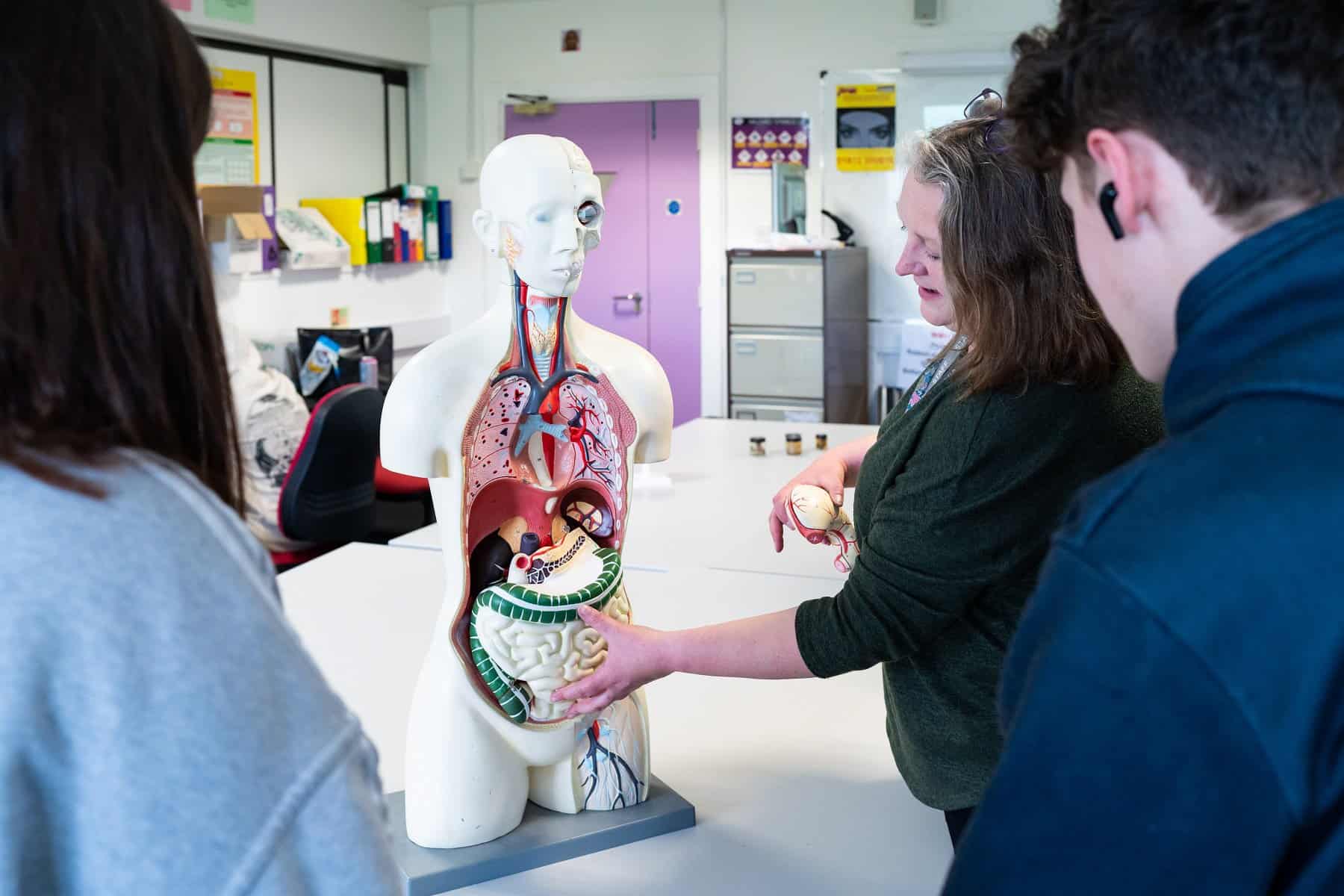 A tutor is putting a removable piece of an artificial intestine into a dummy. Students watch.