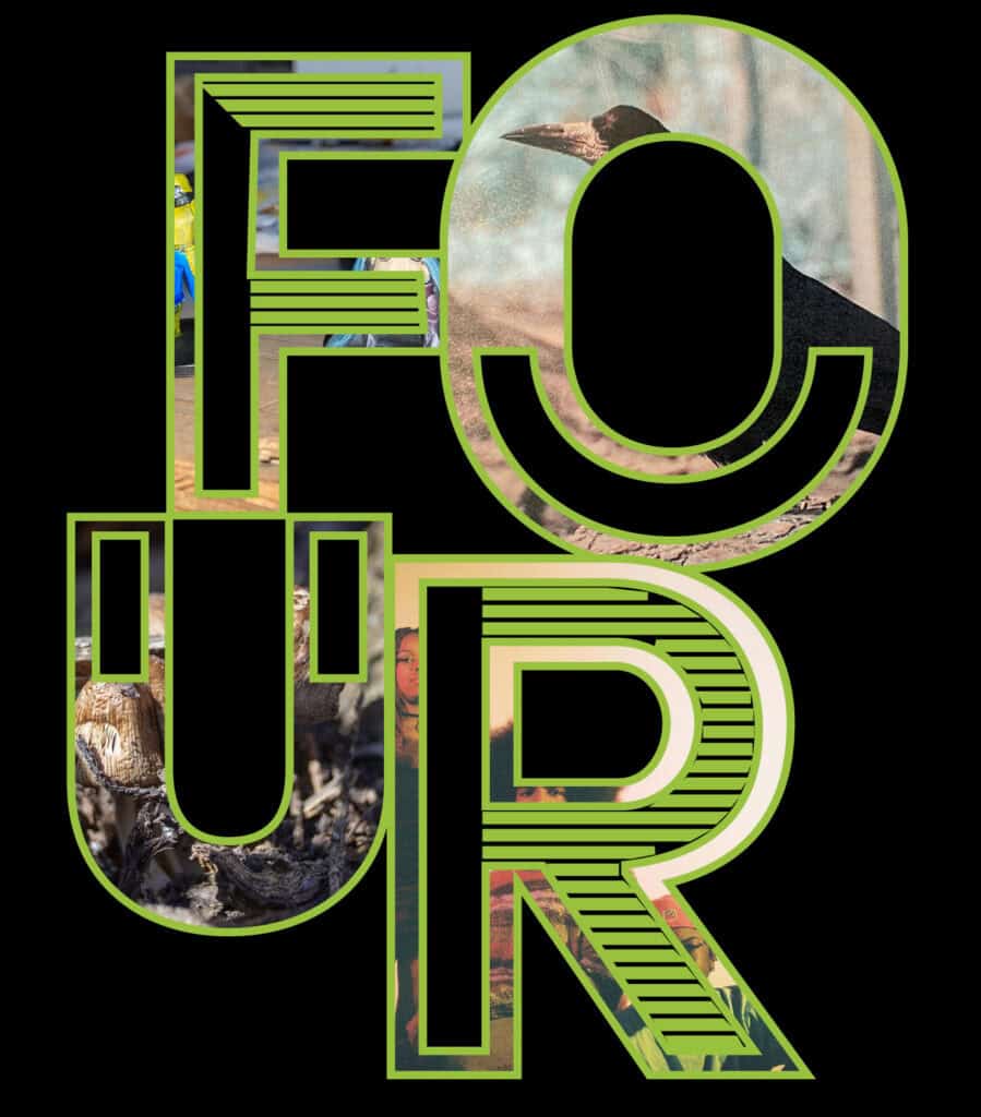 An image advertising the four exhibition. The word four has photographic images inside the letters including a crow and mushrooms.