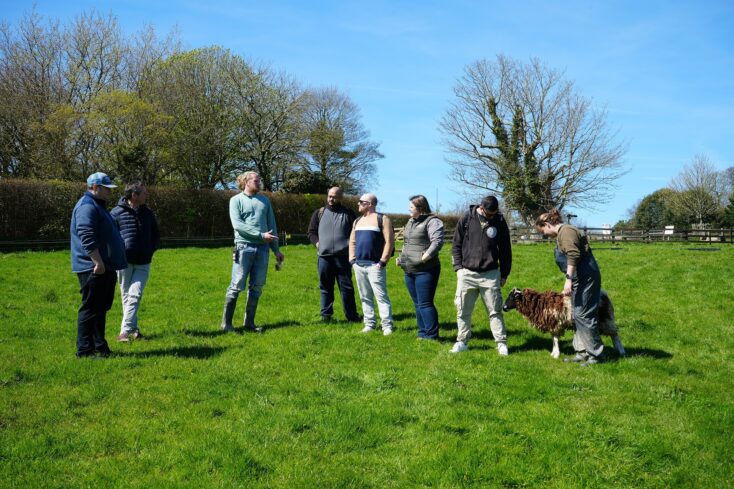 Future Chef Manager participants, stood in a field with a sheep, receiving a talk on sustainable farming