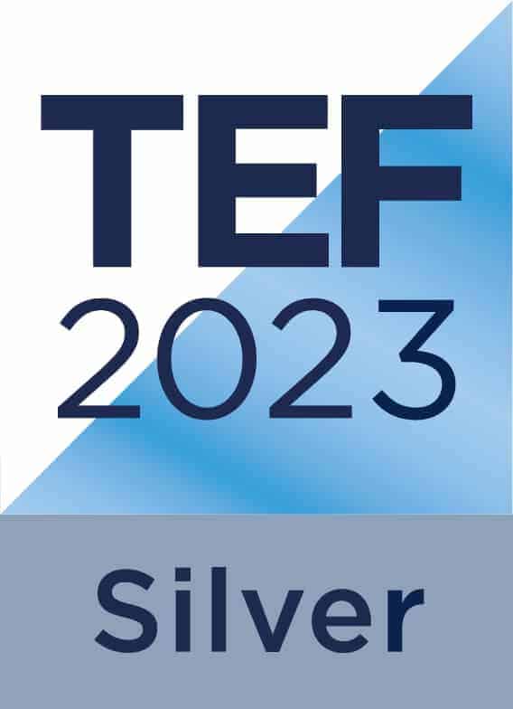 A logo which says TEF 2023 Silver