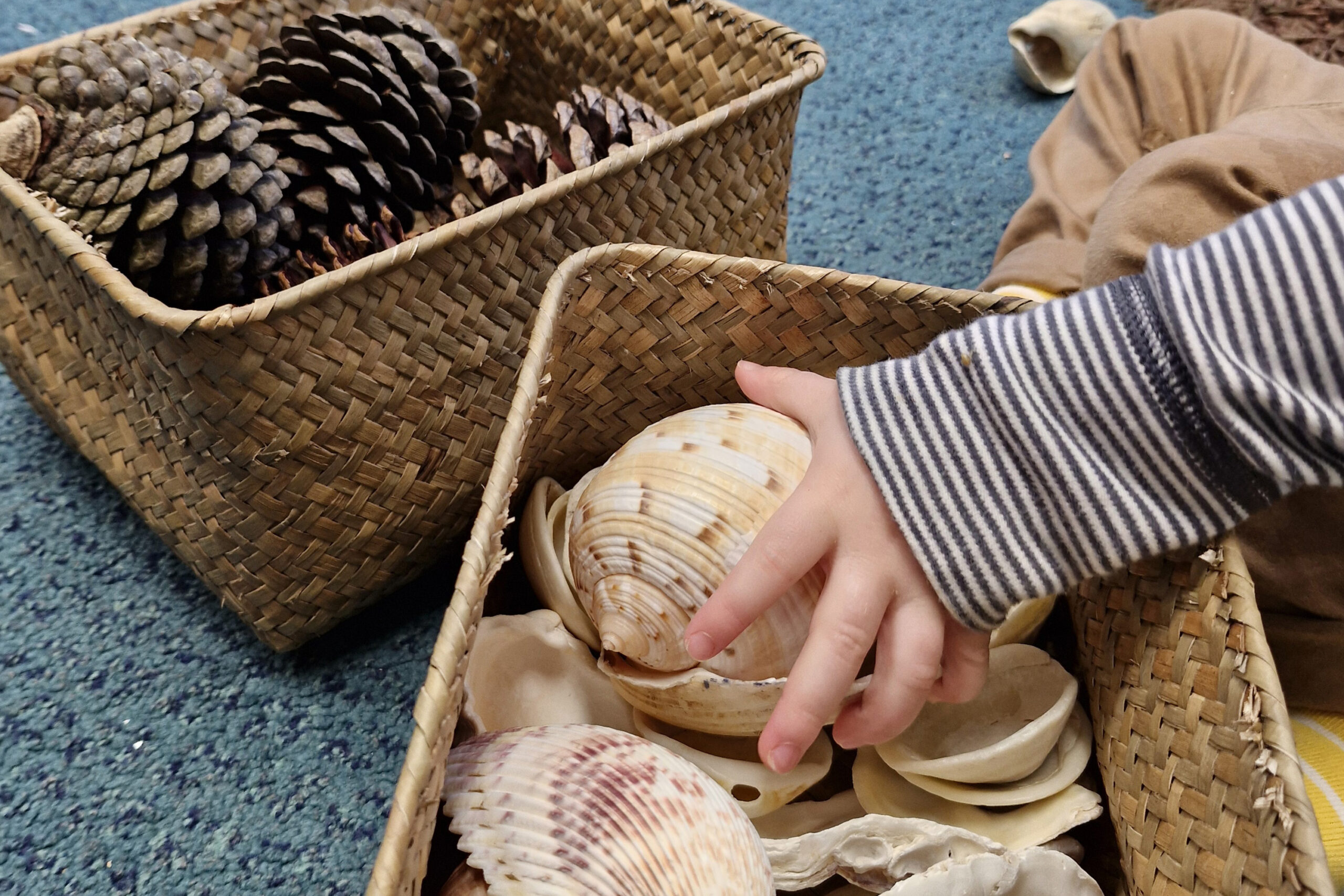 A close-up of a child's hand reaching into a basket of shells. Another basket has pine cones.