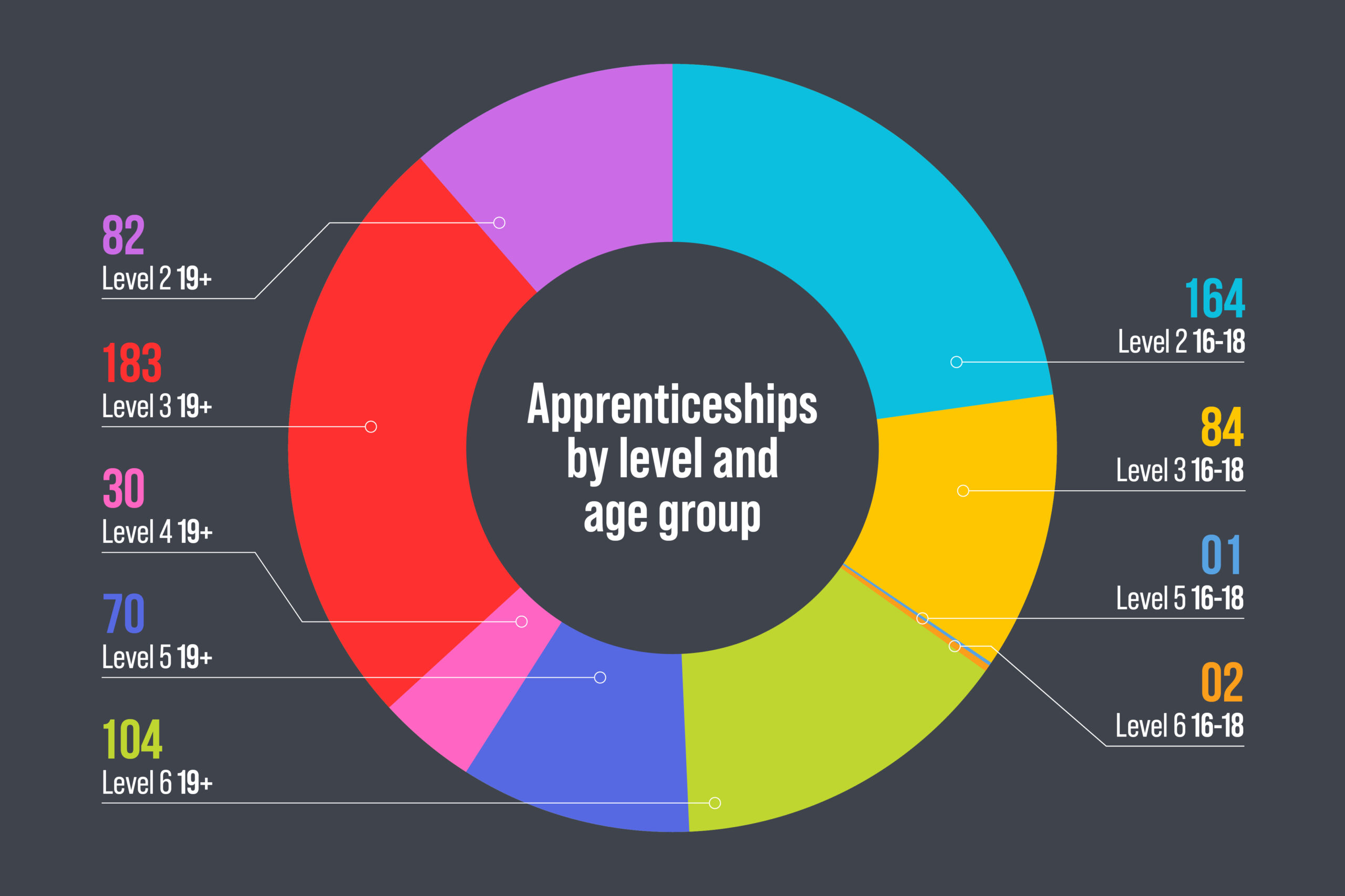 The image is a pie chart. The chart reads 'Apprenticeships by level and age group', '82 Level 2 19+', '183 Level 3 19+', '30 Level 4 19+', '70 Level 5 19+', '104 Level 6 19+', '164 Level 2 16-18', '84 Level 3 16-18', '01 Level 5 16-18' and '02 Level 6 16-18'.