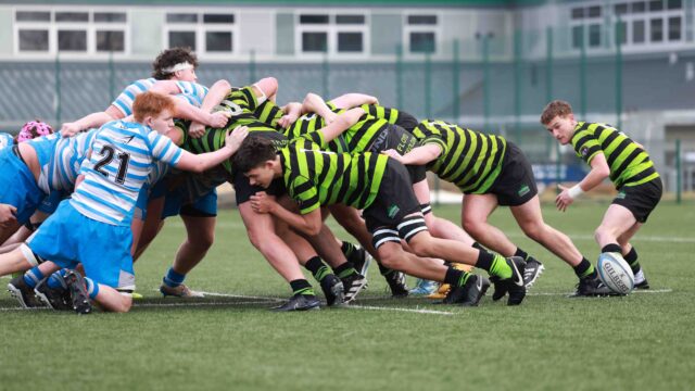 A rugby scrum is taking place between two teams. One team is wearing blue and white stripes and the other is wearing green and black stripes.