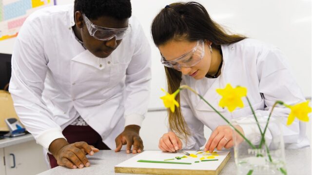 Two students in lab coats dissecting a daffodil in a laboratory.