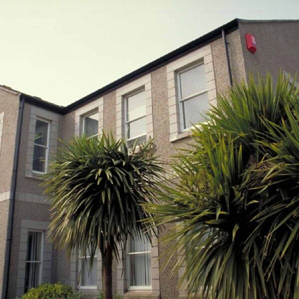 A picture of a Truro and Penwith College building in 2009. There are palm trees in the foreground.