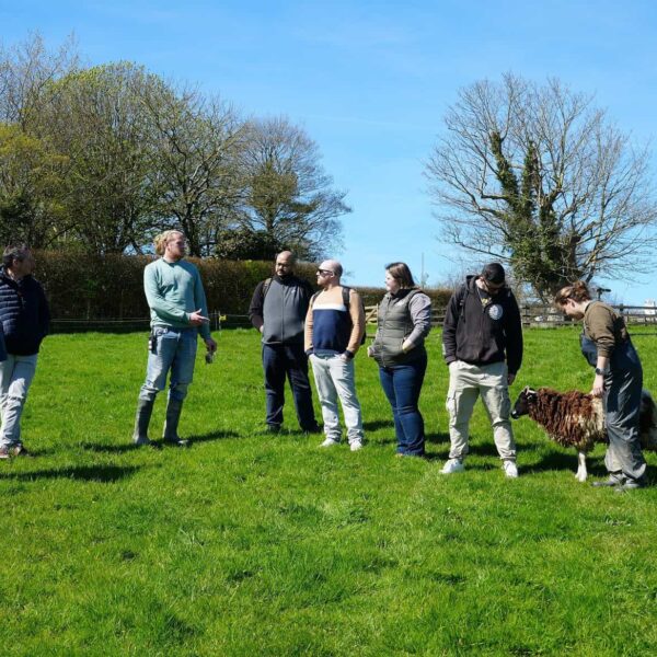 A group of people and a sheep stand together in a field.