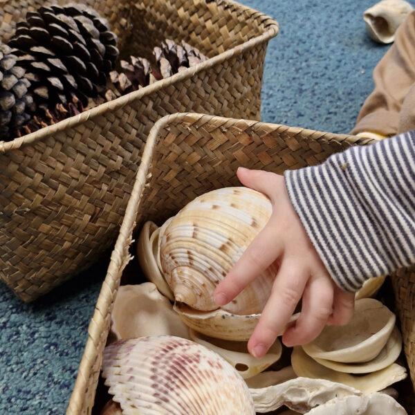 A close-up of a child's hand reaching into a basket of shells. Another basket has pine cones.