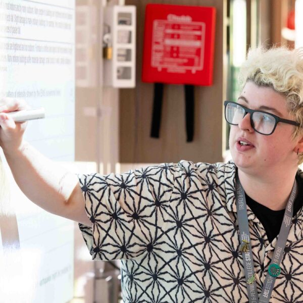 A tutor holds a pen up to a whiteboard with an image projected on it.