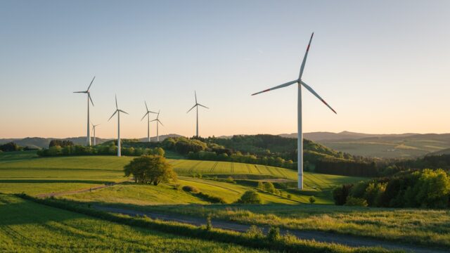 Wind turbines in fields in golden sunlight.