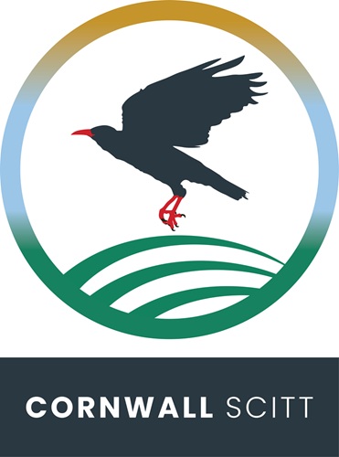 Cornwall Scitt Logo Cornwall Scitt Logo