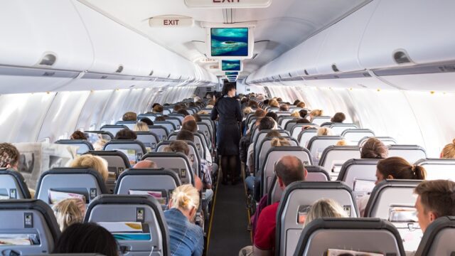 Inside view on passenger and cabin crew people on an airline airplane during flight to vacation. Transportation tourism aviation concept