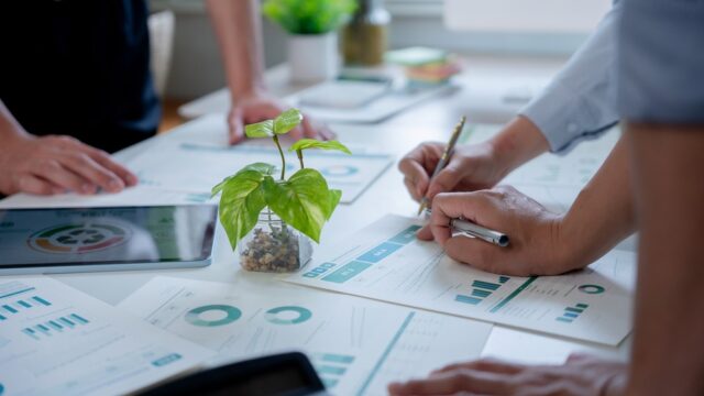 Business Team Analyzing ESG Data For Sustainable Investment. Paperwork on a white table with a plant in the centre.