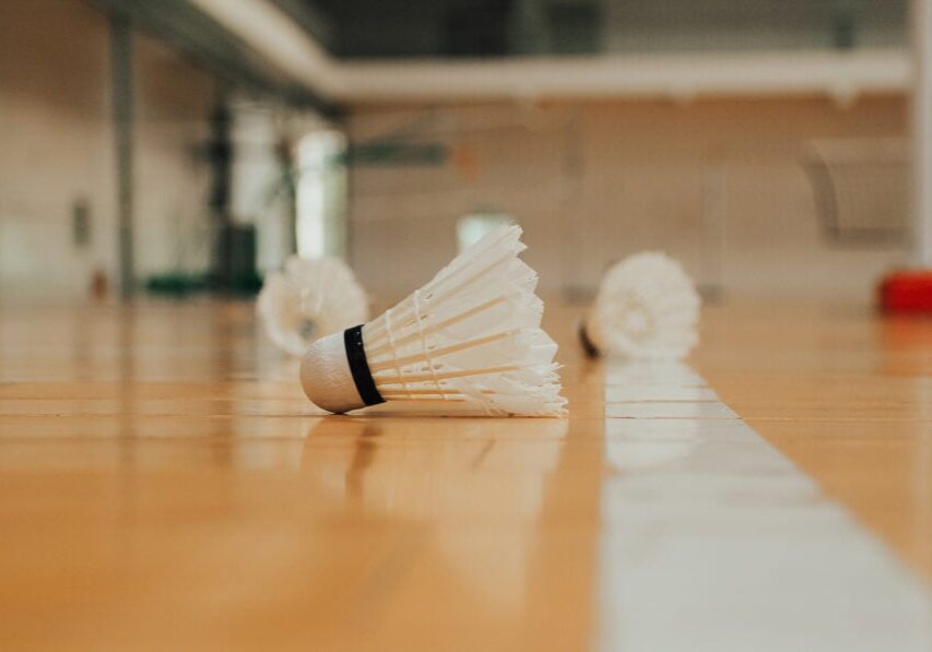 Badminton Academy2